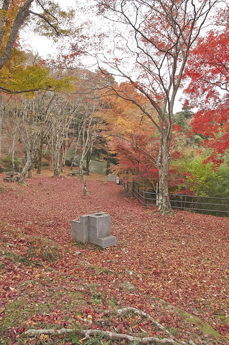 【写真】2013 紅葉 : 笠置山もみじ公園/2021-10-24/IMGP3619