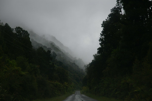 newzealand fog forest nebel wald westland nzl neuseeland pentaxk100d