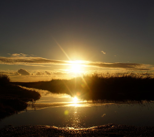 england sky sun water grass clouds sunrise reflections golden coast sony east alpha a77 saltfleet