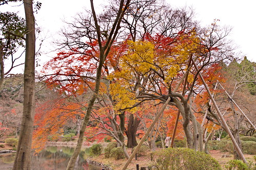【写真】2012 紅葉 : 京都府立植物園/2019-04-01/IMGP8471