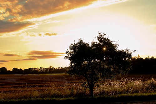 sunset landscape lincolnshire