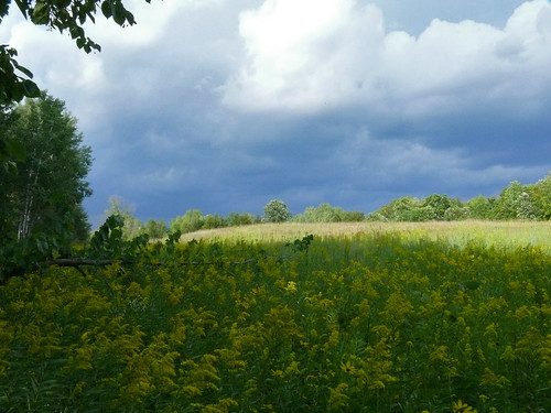 field wisconsin clouds shade prairie wi newburg naturecenter riveredge ominousclouds ozaukee riveredgenaturecenter mattdrollinger matthewdrollinger