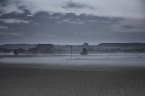mist field fog nebel power feld pylon strom hochspannungsmast