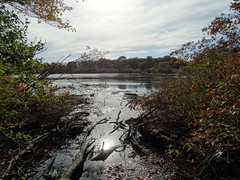 East Meadow Pond (37)
