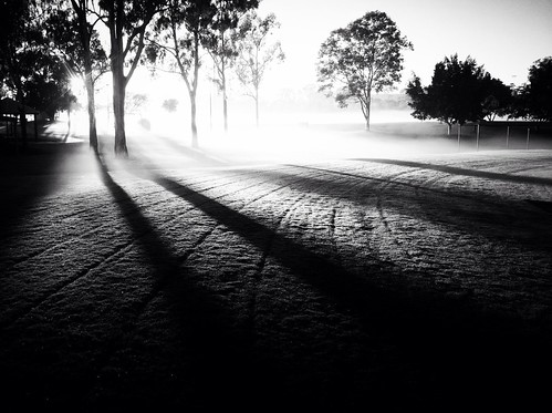 morning blackandwhite white mist black misty fog sunrise early exploring foggy australia explore qld ipswich iphone iphone4 iphonography limestonepark racheljoanne