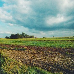 Happy clouds, happy fields and happy cows (or so it seems): wandering through the Polish countryside!