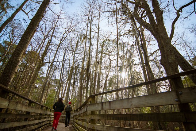 Take some time to get outside and get that blood flowing again at a Virginia State Park- 