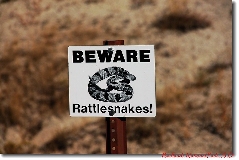 Beware Rattlesnakes