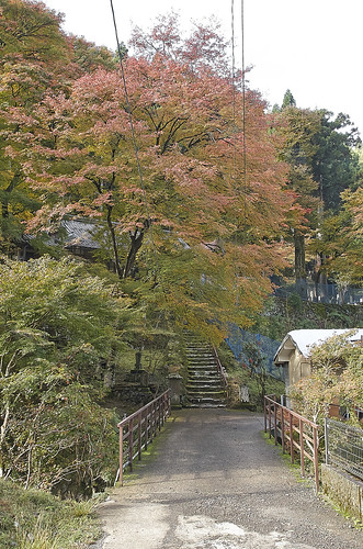 【写真】2013 紅葉 : 桃源山地蔵院/2021-06-11/IMGP3167