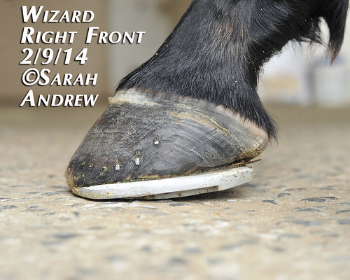 Wizard's New Rocker Shoes