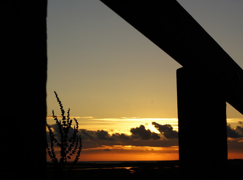 red england sky silhouette sunrise fence golden coast sony east alpha a77 saltfleet