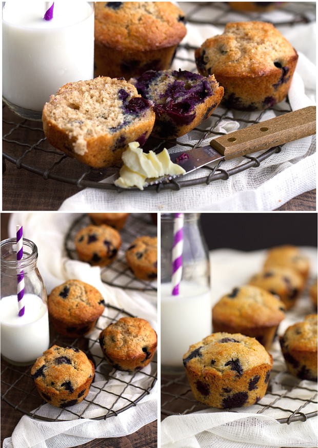 Bakery Style Blueberry Muffins - Ready in 30 minutes and the most tender muffins you've EVER had! #blueberrymuffins #muffins #bakerystylemuffins | Littlespicejar.com