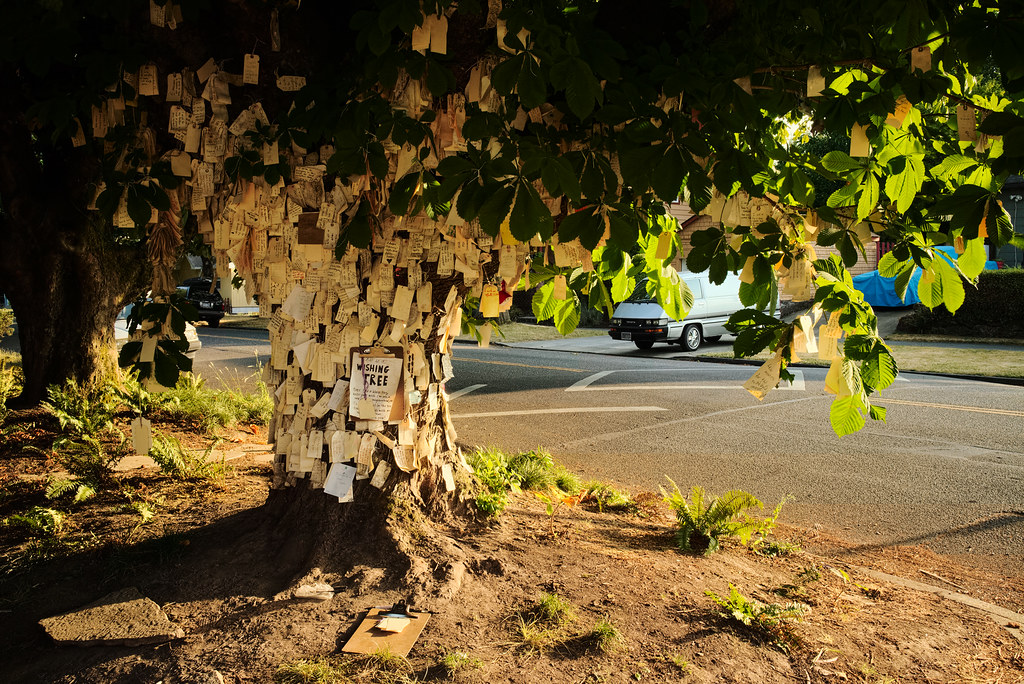 The Wishing Tree in the Irvington neighborhood of Portland, Oregon