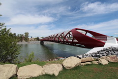 Calgary's peace bridge looking north