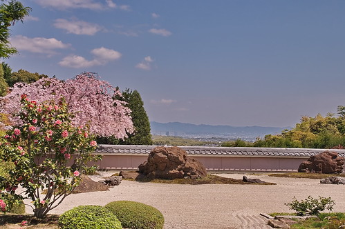 【写真】2013 桜 : 正法寺/2021-04-17/IMGP0086