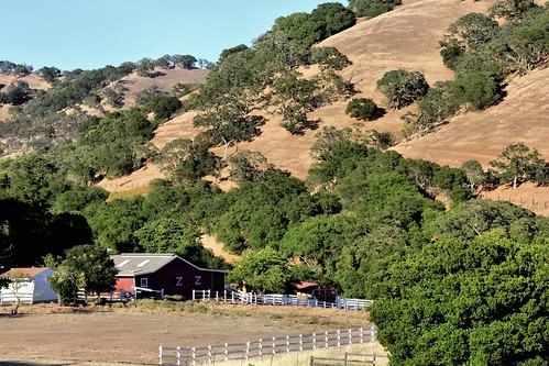 barn farm greenvalley fairfieldca solanocounty californiaoak