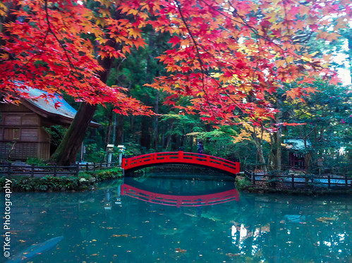 bridge winter japan temple leaf jinja iwata okoku
