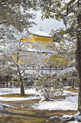 【写真】2014 雪 : 金閣寺/2020-07-05/IMGP4940