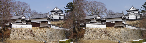 Bitchu Matsuyama Castle, stereo parallel view