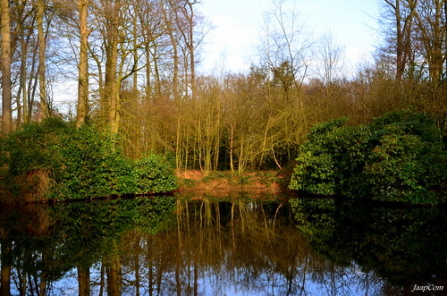 trees sunset holland nature water netherlands dutch landscape bomen nikon natural nederland natuur lente landed plas veluwe niederlande gelderland naturel landgoed wezep ijsselvliedt d5100 jaapcom