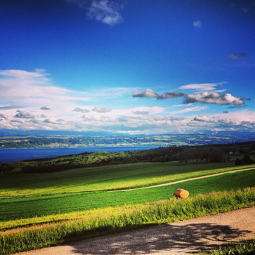 blue sky sun lake field photo view provence neuchatel instagram ifttt