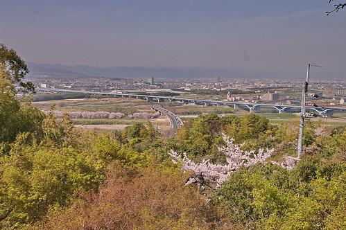【写真】2013 桜 : 石清水八幡宮/2021-12-06/IMGP9715