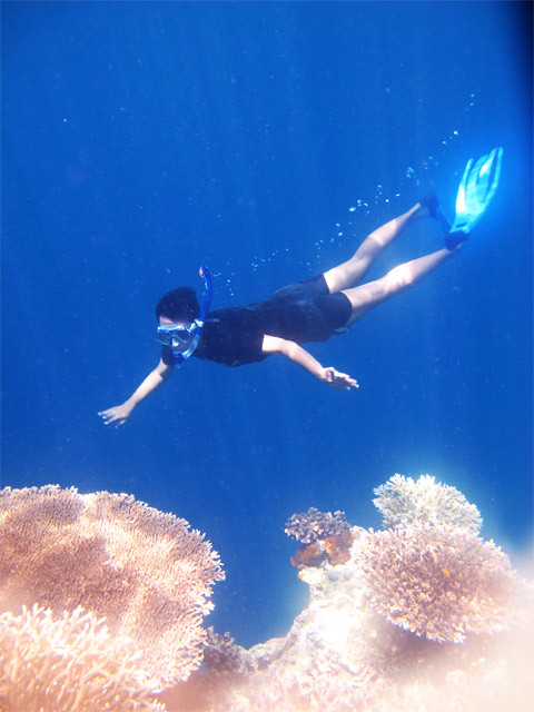 The Zen of Underwater Scene... Maratua Island, East Borneo