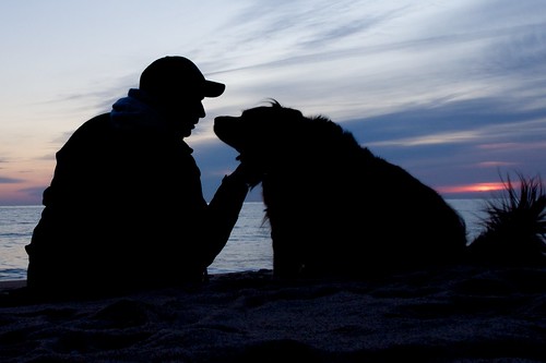 ocean dog beach sunrise teddy newyear 52weeksfordogs olympusm1240mmf28 52weeksfordogsweek01