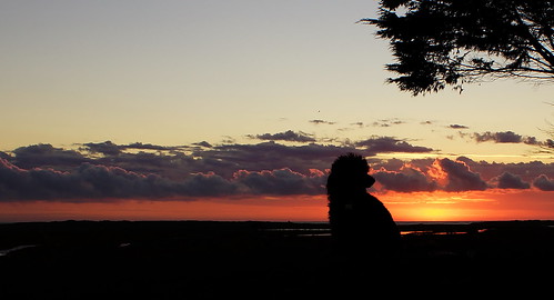 england sky silhouette sunrise golden coast sony east poppy alpha a77 yabbadabbadoo saltfleet