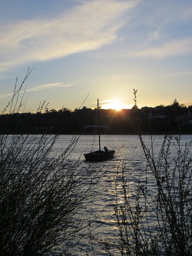 sunset soleil eau coucher reflet bateau loire voilier coucherdesoleil plantes barque fleuve blois partlycloudy végétation