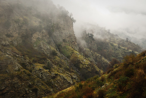 mountains fog clouds sheep espana valley andalusia sierranevada