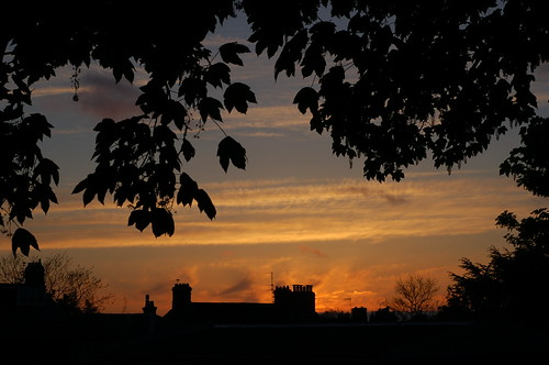light sunset england sky sun house silhouette atardecer treesilhouette suffolk sonnenuntergang pôrdosol sycamore sunsetlight eastanglia lowestoft coucherdusoleil kirkley