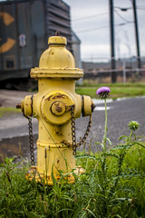 Train graveyard hydrant