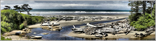 ocean sea art digital painting waves pacific wave olympicpeninsula driftwood paddrick paintograph kaaloch