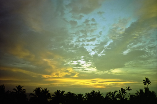 sunset film clouds analog 35mm kodak indianocean wideangle olympus xa2 palmtree srilanka portra bentota 160nc