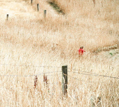 park boy red newzealand christchurch field grass yellow fence track child post path coat hill running canterbury downhill nz southisland quarry halswell fullpelt