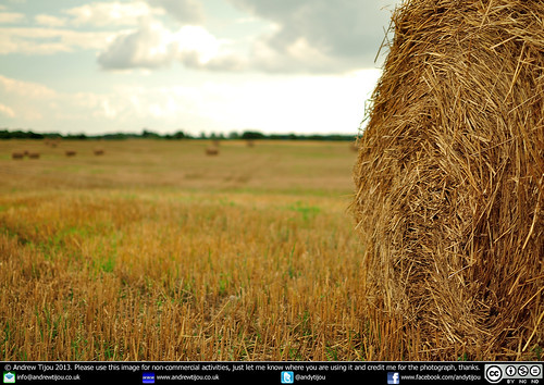 field countryside europe farming straw poland hay haybale nikond5000 andrewtijou
