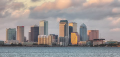 Tampa Skyline from Ballast Point