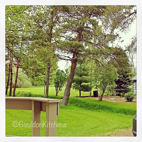 square squareformat princeedwardcounty iphoneography instagramapp uploaded:by=instagram fmsphotoaday