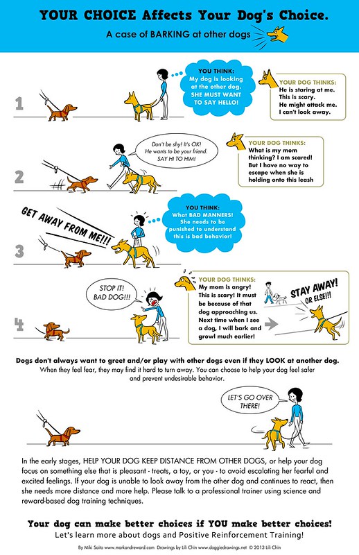 YOUR CHOICE AFFECTS YOUR DOG'S CHOICE: Barking at dogs.