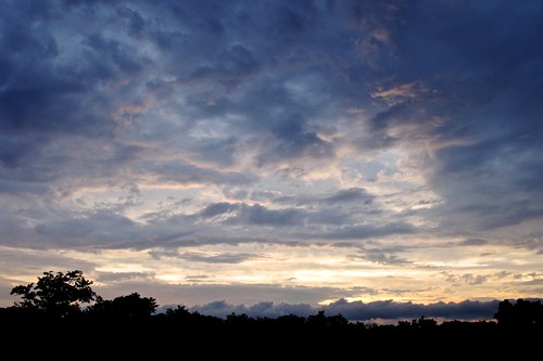 park trees sunset ohio sky dublin silhouette clouds evening sundown dusk scioto