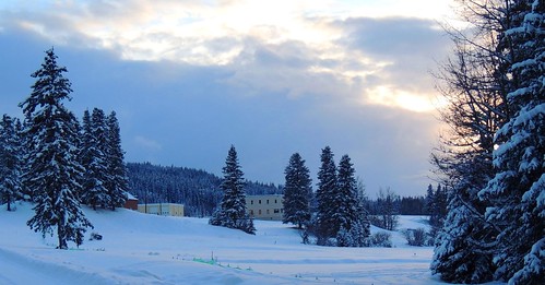 winter sunset snow tree station golf lodge gas pines