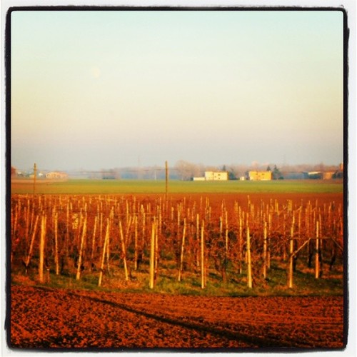 sunset square tramonto country lofi campagna squareformat fidenza fornio iphoneography instagramapp uploaded:by=instagram foursquare:venue=521a78322fc631f8012044b7