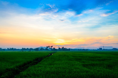 sunrise landscape malaysia melaka malacca paddyfield