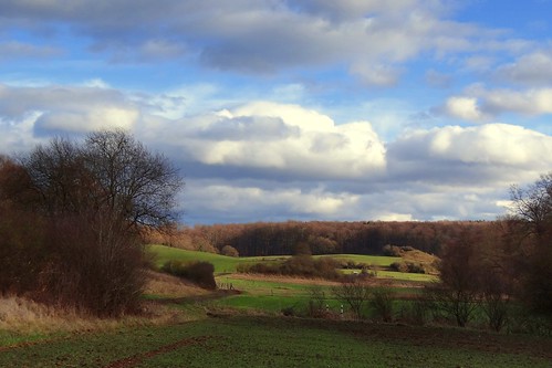 trees winter sky green nature clouds germany landscape deutschland day hessen view cloudy meadow zima hesse pwfall
