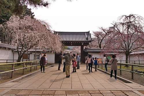【写真】2013 桜 : 醍醐寺/2021-10-20/IMGP9022