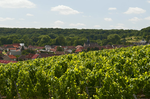 france village champagne vineyards frankrijk dorp wijngaarden congy champagneardennes