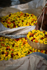 Kolkata Flowers market