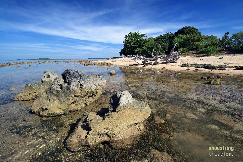 rocky beach at Potipot Island where a variety of marine fauna may be observed