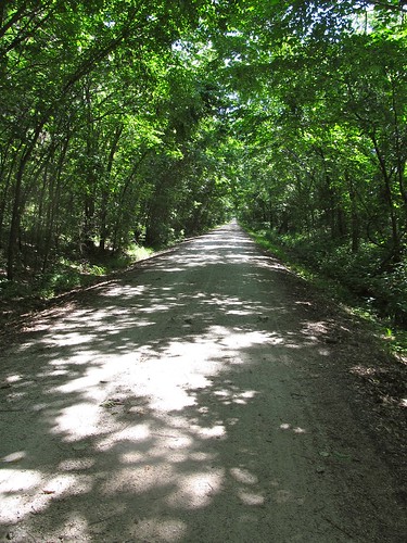 trees bike bicycling trails trail missouri shade biking katytrail railtrails